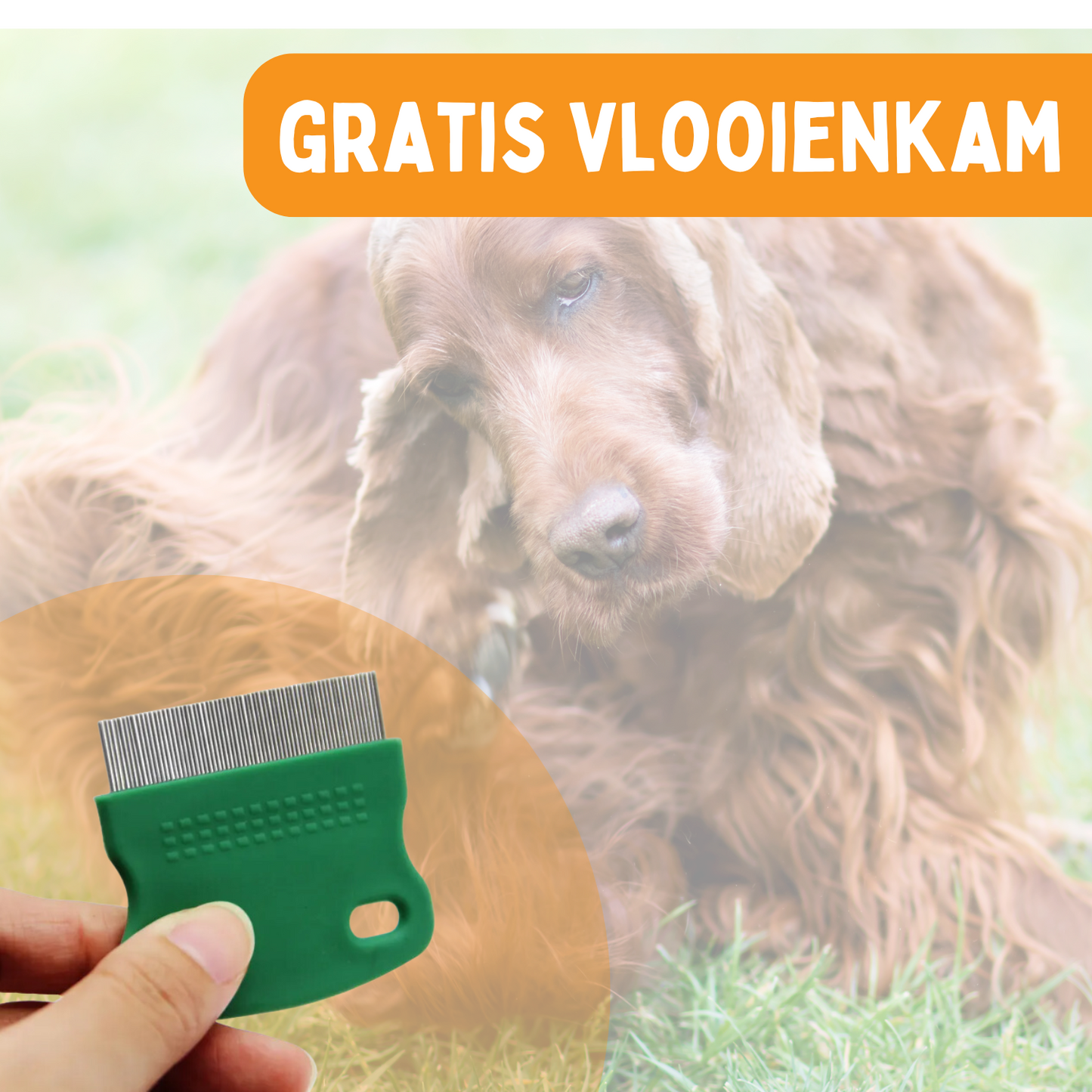 Vlooienband Hond - Effectief Tegen Vlooien En Teken - 100% Natuurlijk - Organic