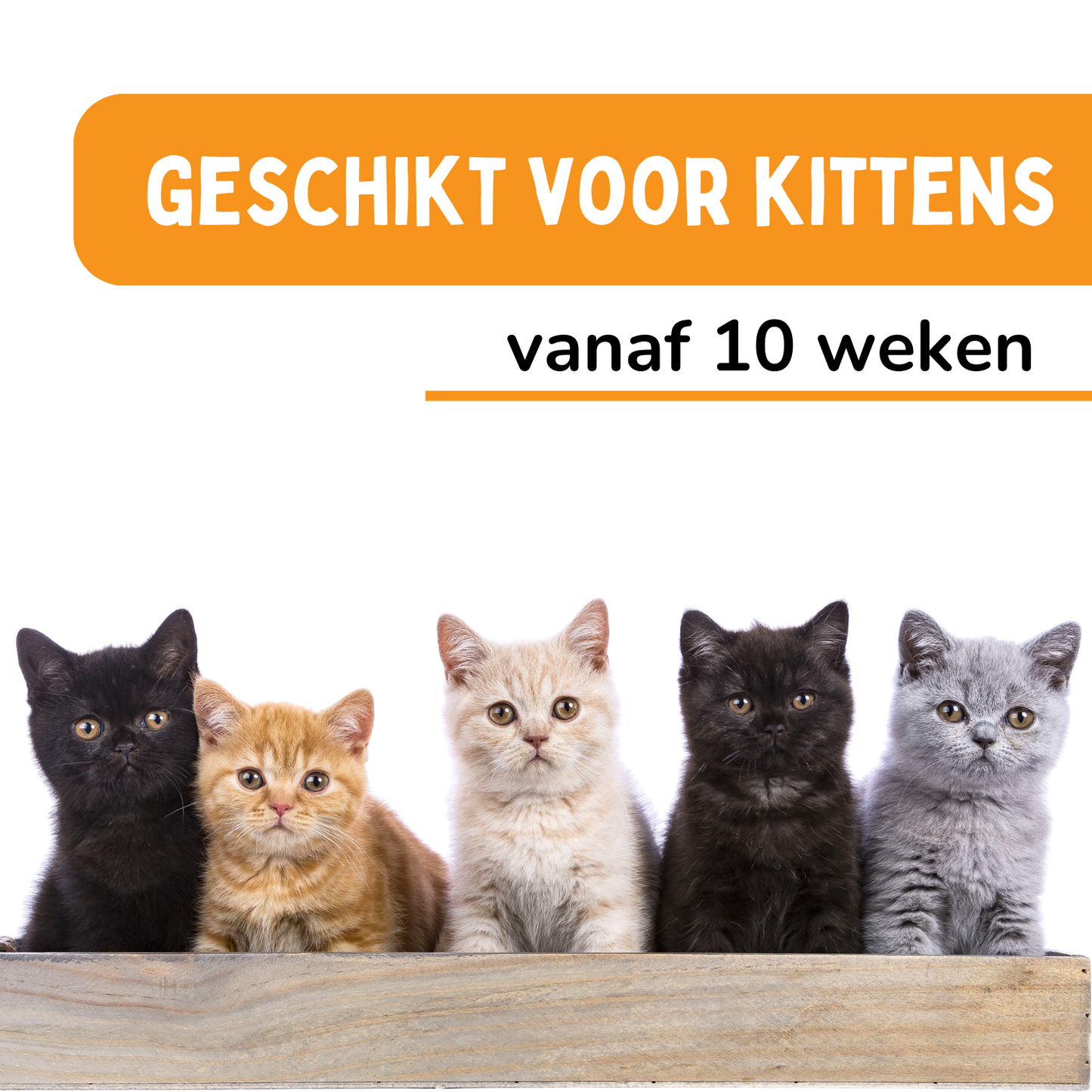 Vlooienband Kat - Effectief Tegen Vlooien En Teken - Grijs of Zwart