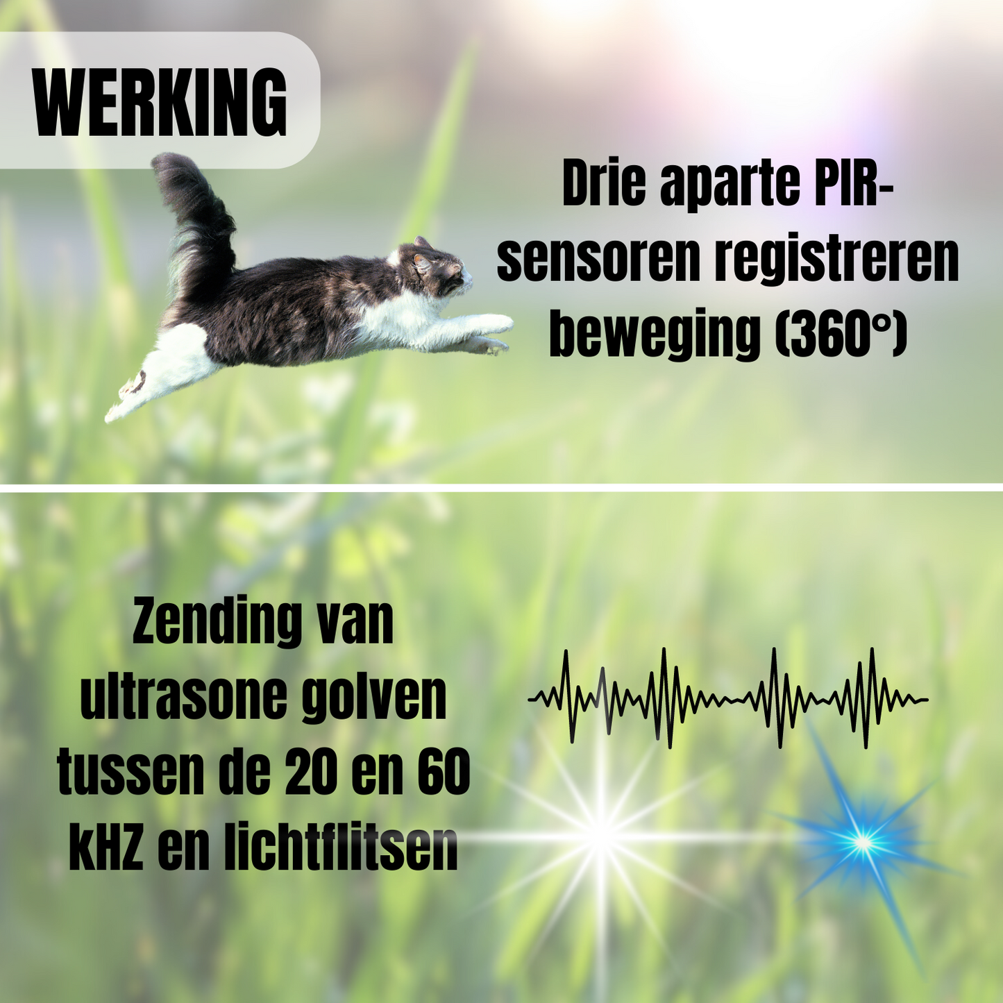 Ultrasone Kattenverjager en Mollenverjager Op Zonneenergie
