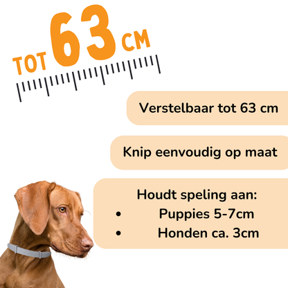 Vlooienband Hond -  Effectief Tegen Vlooien En Teken - 100% Natuurlijk - Organic