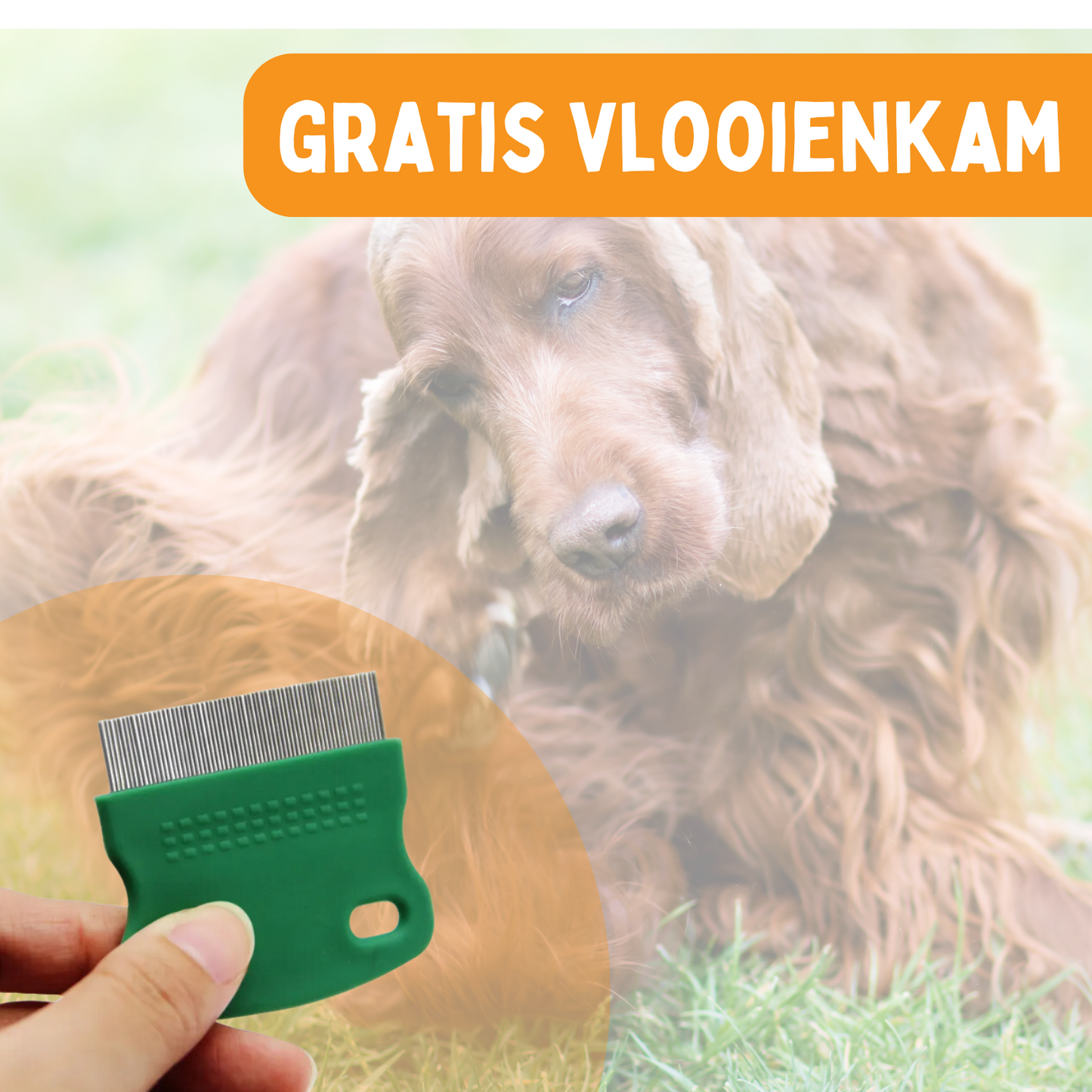 Vlooienband Hond -  Effectief Tegen Vlooien En Teken - 100% Natuurlijk - Organic