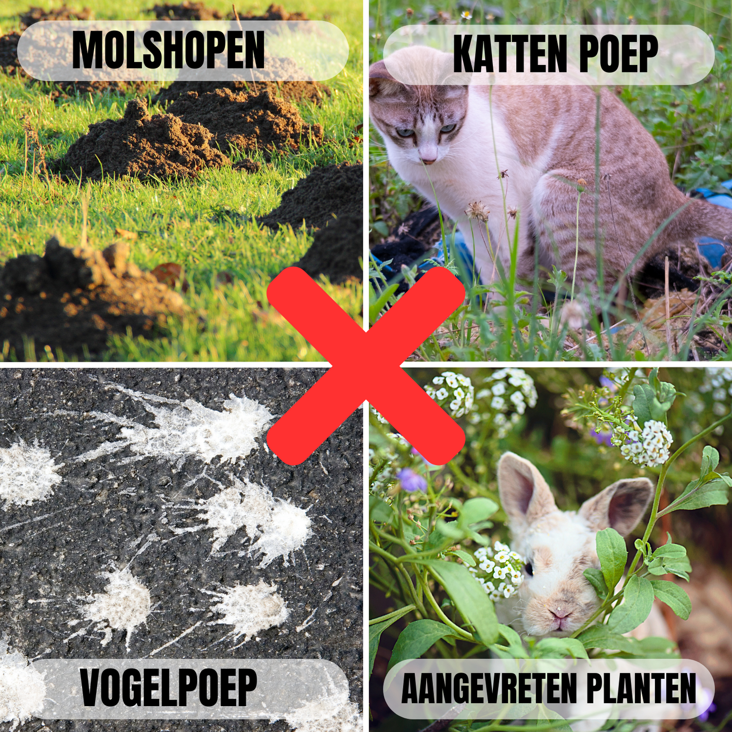 Ultrasone Kattenverjager en Mollenverjager  Op Zonneenergie