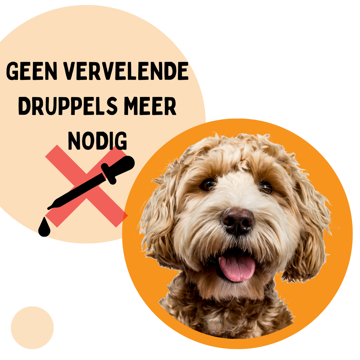 Vlooienband Hond -  Effectief Tegen Vlooien En Teken - Zwart