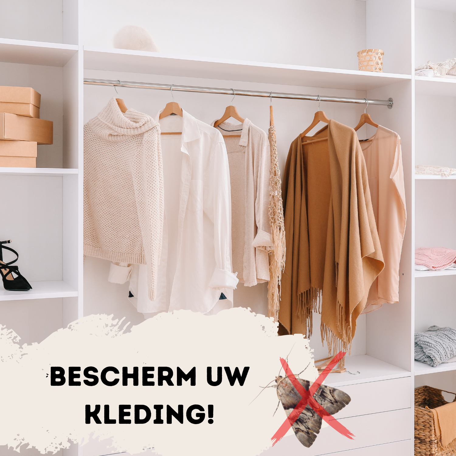 Motten informatie | Motten bestrijden | Mottenballen | Kleding motten Motten informatie | Motten bestrijden | Mottenballen | Kleding motten
