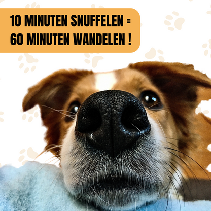 Snuffelmat voor Hond - Honden Speelgoed - Voedermat -Trainingsmat