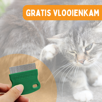 Vlooienband Kat -  Effectief Tegen Vlooien En Teken - Grijs of Zwart