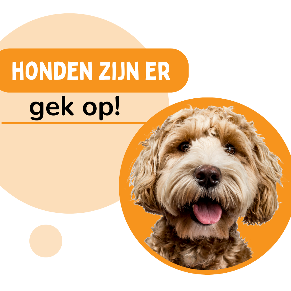 By Cee Cee Hondenmand Donut Premium - Hondenkussen - Hondenbed - Hondensofa - Kattenmand - Kattenbed (kopie)