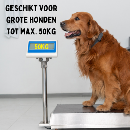 By Cee Cee Hondenriem 8 Meter - Looplijn voor Hond Tot 50KG - NIEUW!