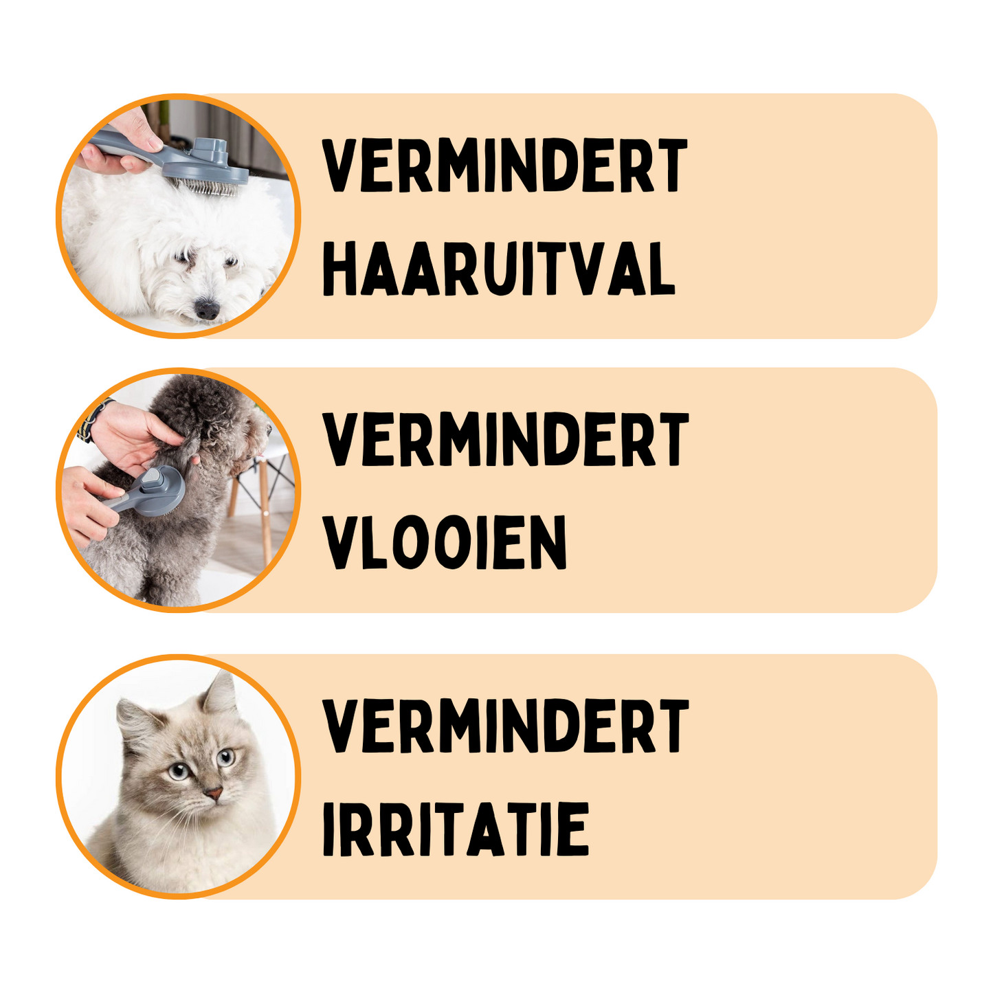 Professionele Borstel - Verbeter de vacht van Hond en Kat