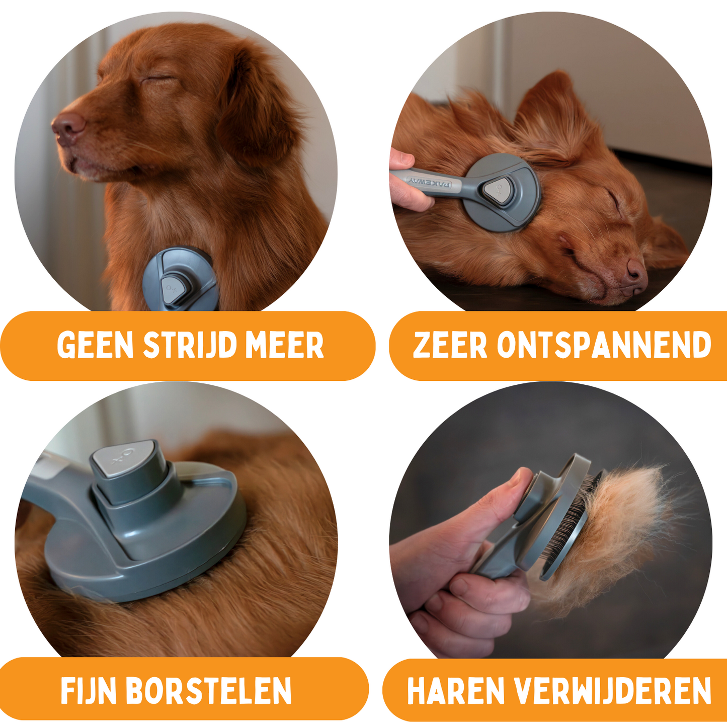 Professionele Borstel - Verbeter de vacht van Hond en Kat