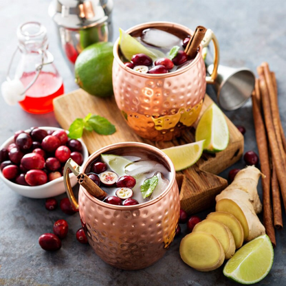 Moscow Mule Cups Premium – Cocktailgläser – Luxus-Geschenkset